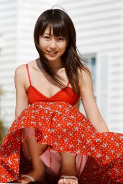东宫电视剧免费观看全集完整版